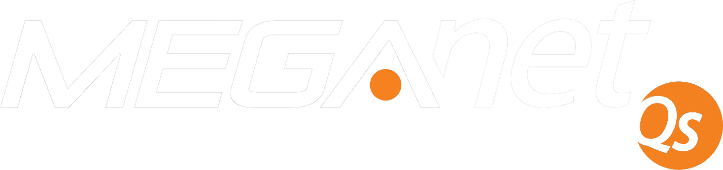 MEGAnet Qs